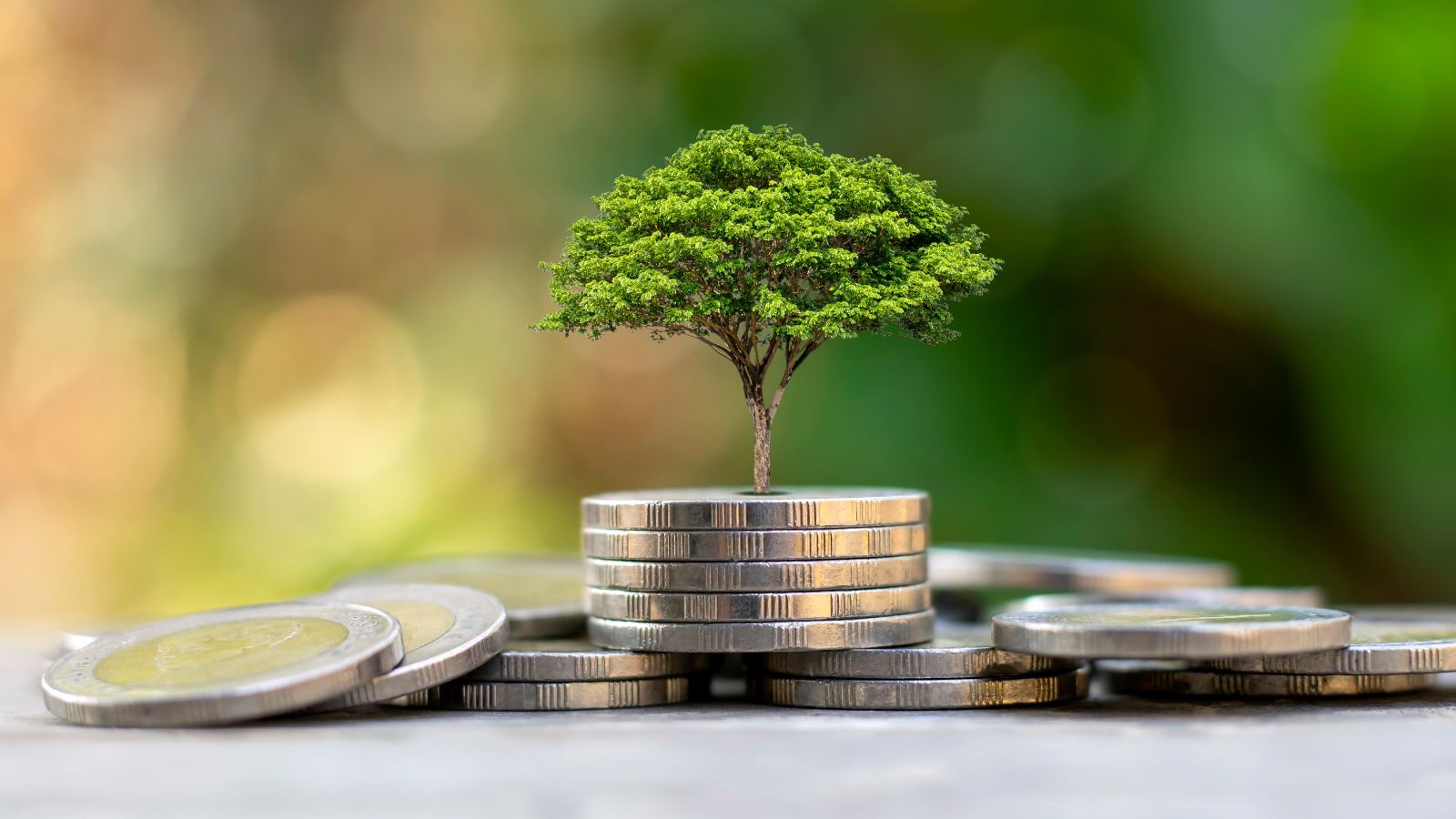 investir dans la pierre